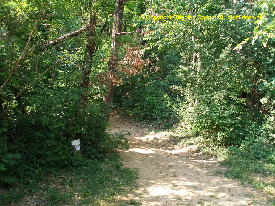 P4291250