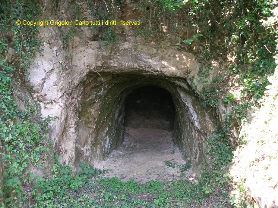 P4291272