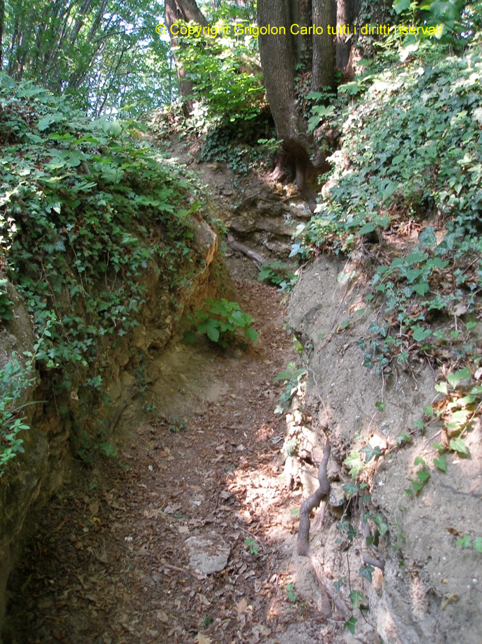 P4291300