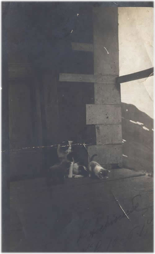 f guerra mondiale 32 jpg