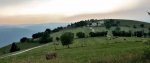 20100717_20044.JPG