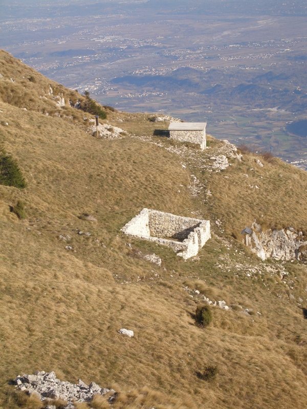 ardosa 20