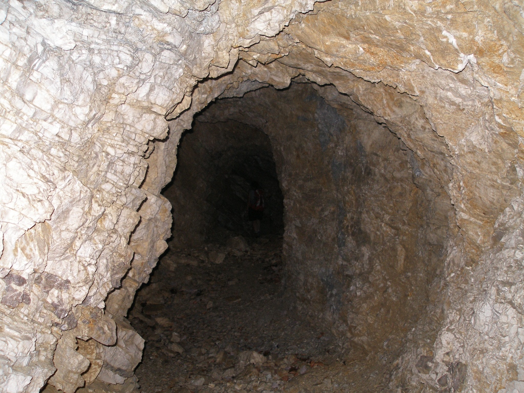 cesil 19
