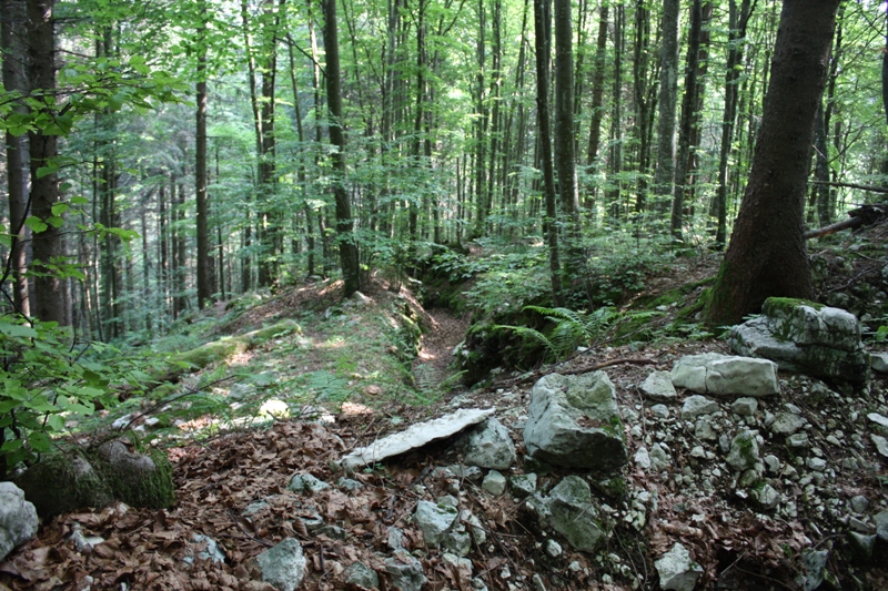 col del gallo02