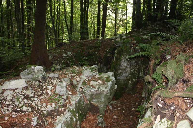 col del gallo03