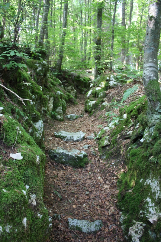 col del gallo05