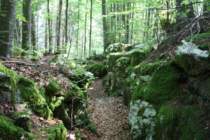 col del gallo09