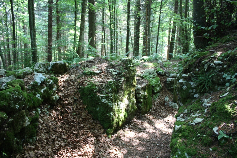 col del gallo10