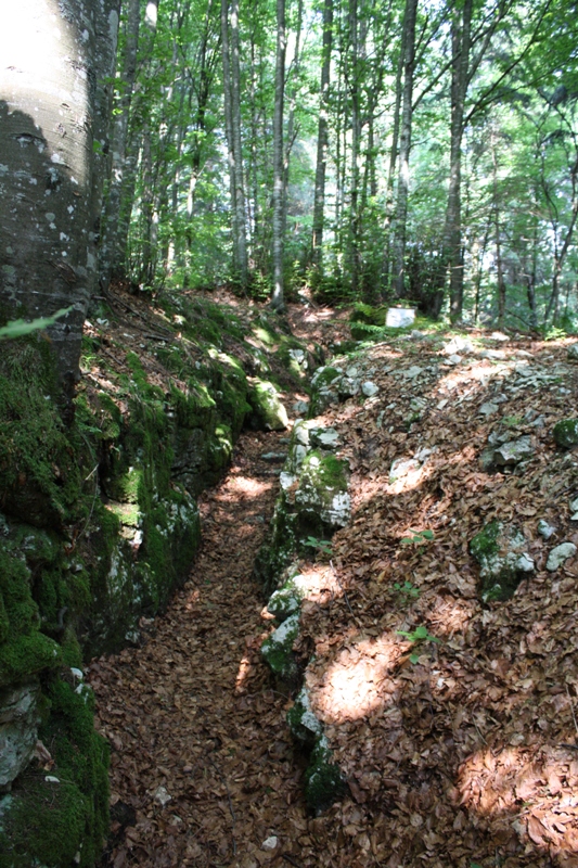 col del gallo16