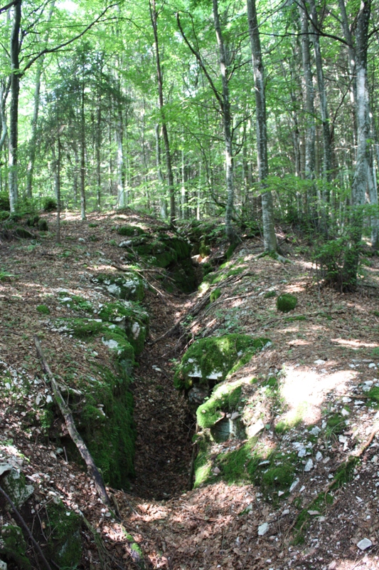 col del gallo18