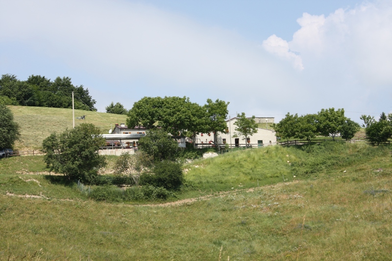 col del gallo24