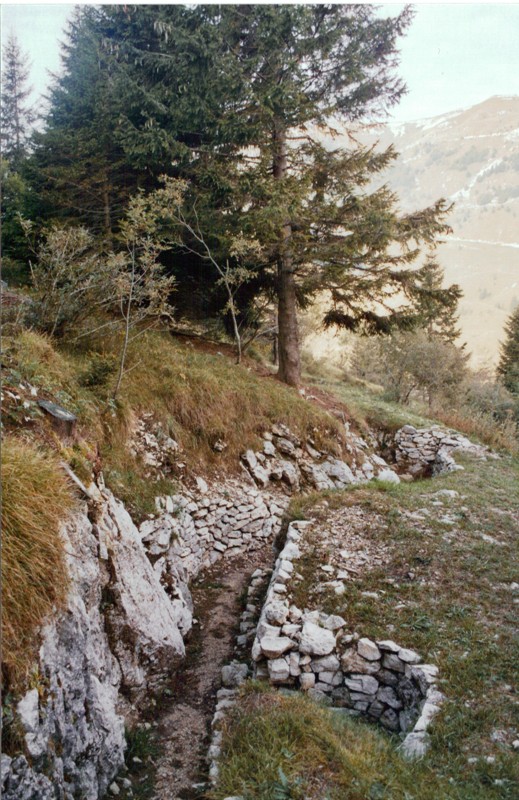boccaor-06