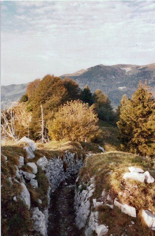boccaor-10