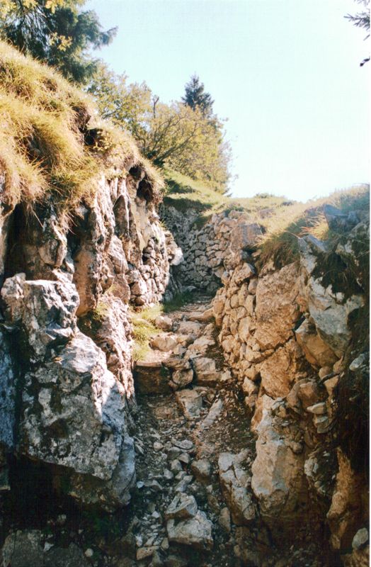 boccaor-11