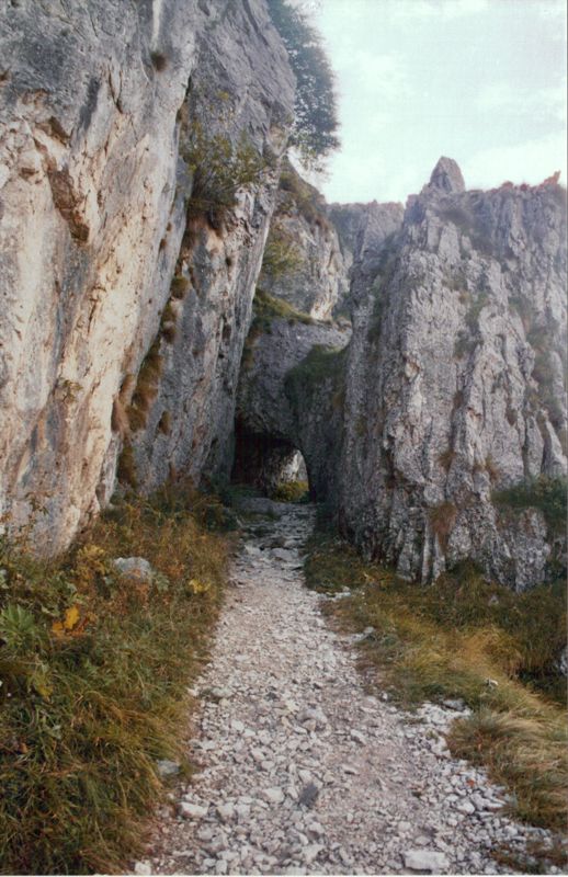 boccaor-16