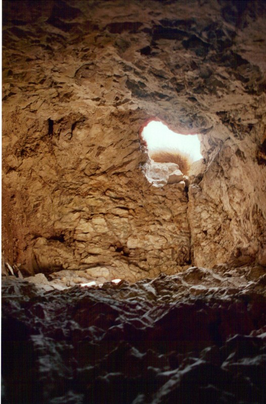 boccaor-19