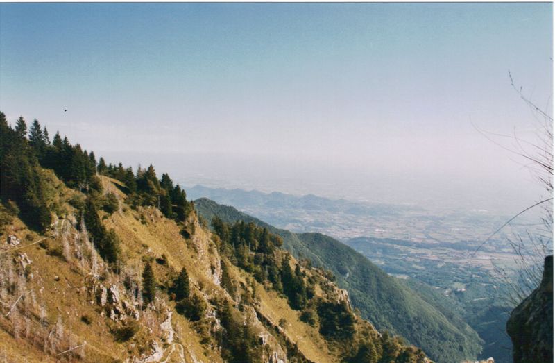 boccaor-20