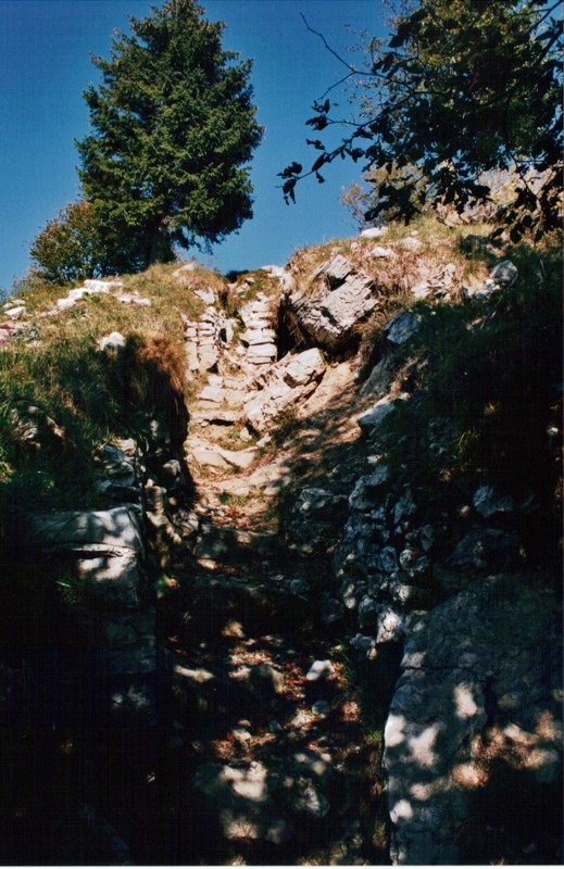 boccaor-24
