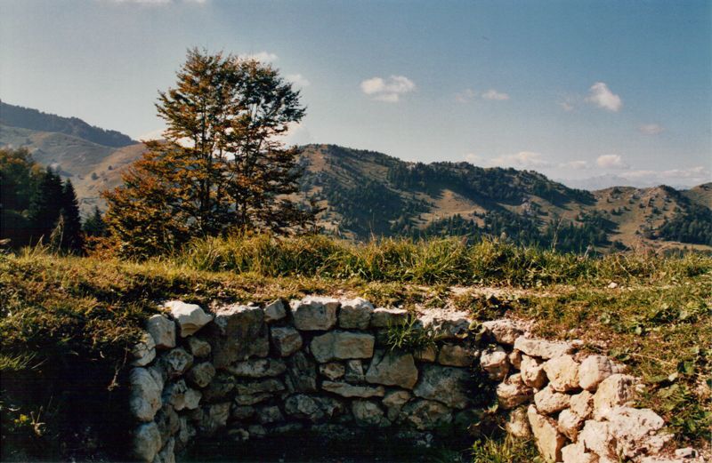 boccaor-27