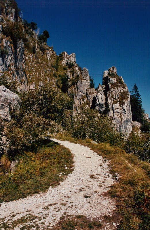 boccaor-29
