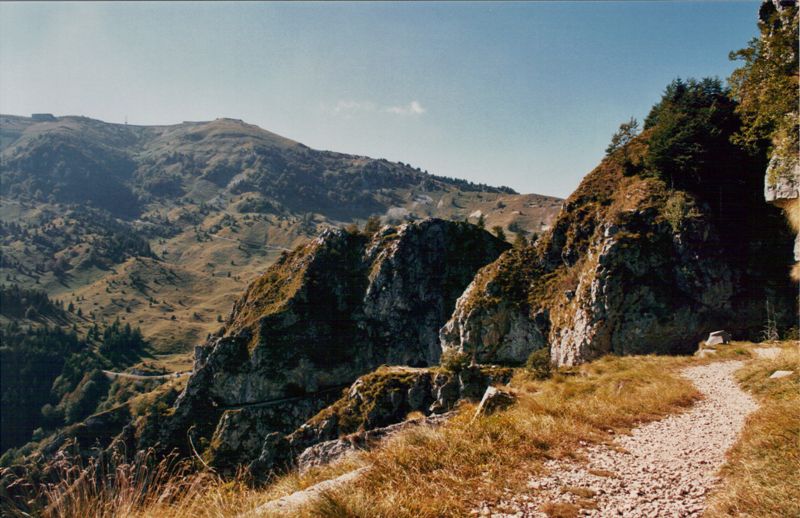 boccaor-30