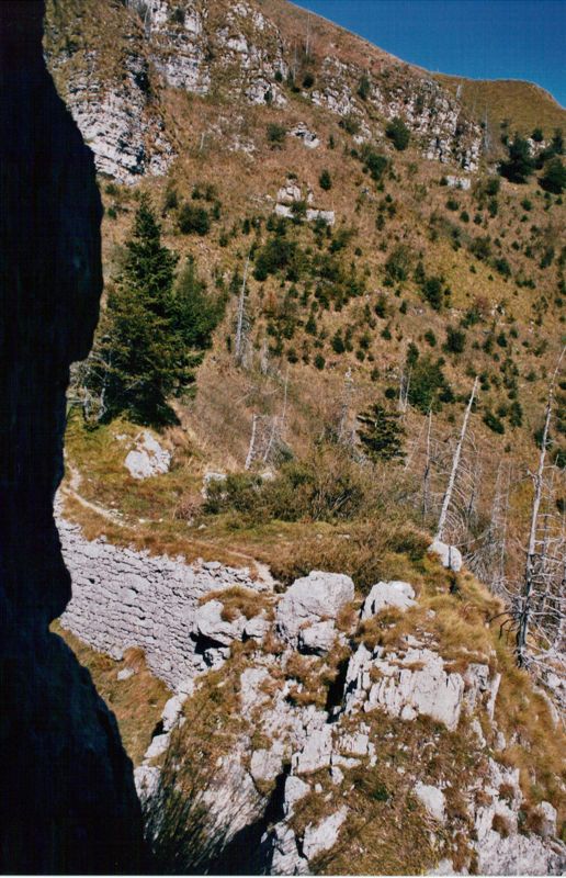 boccaor-31