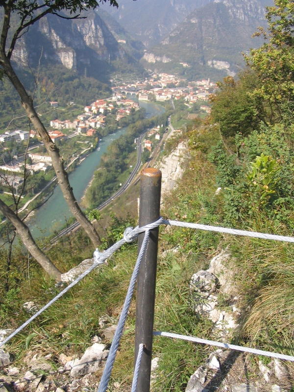 11merlo-carpane