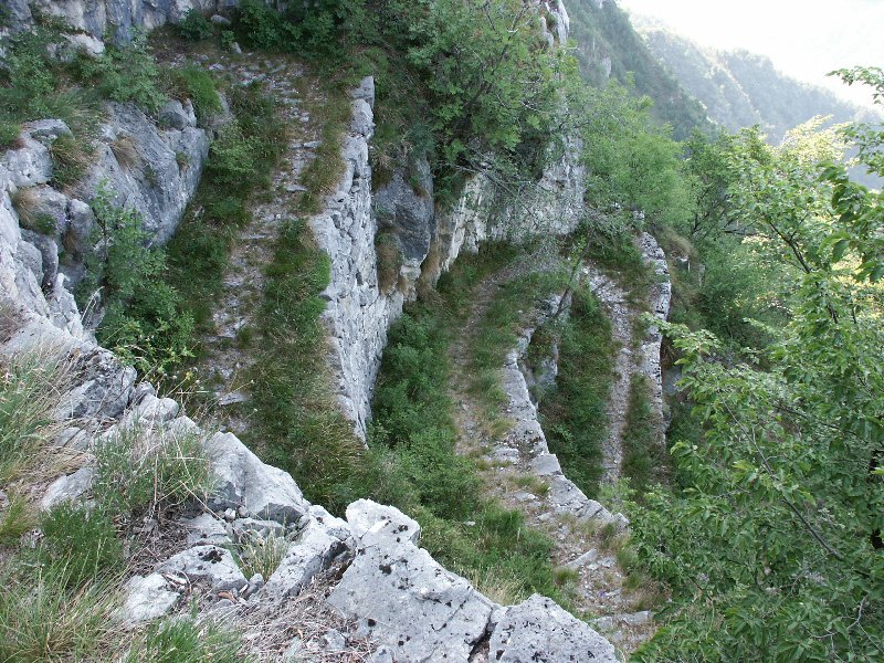 15merlo-carpane